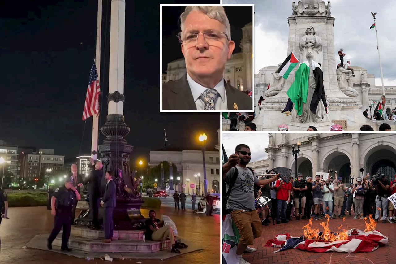 Republican congressmen replace American flags burned by anti-Israel agitators in DC