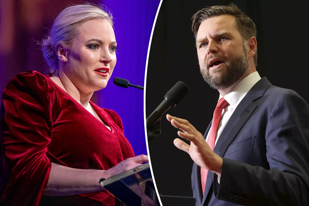 Meghan McCain says JD Vance's 'childless cat ladies' comment angered even her 'most conservative' friends