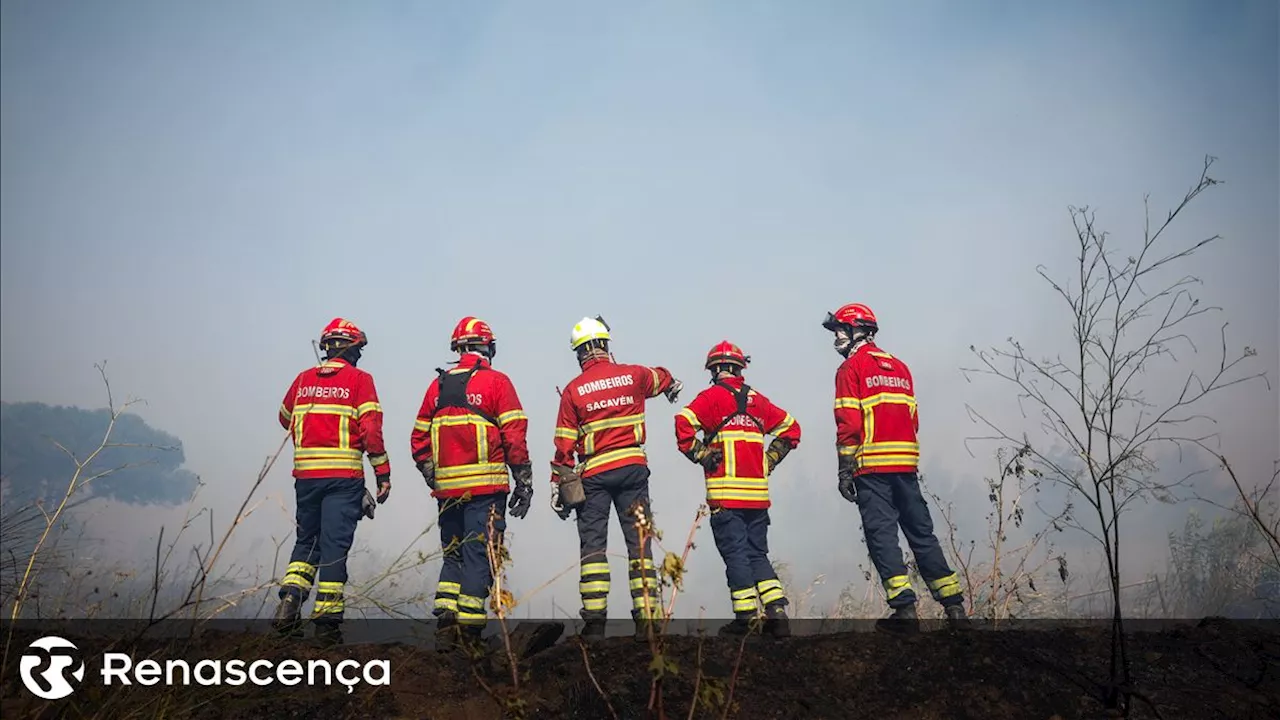 Número de incêndios na primeira metade de 2024 é o mais reduzido desde 2014