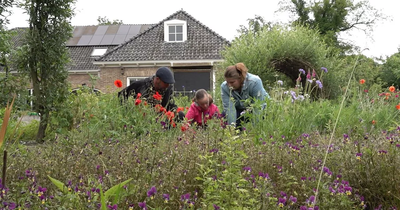 Samen zaaien, maaien, en genieten in de dorpstuin van Vries