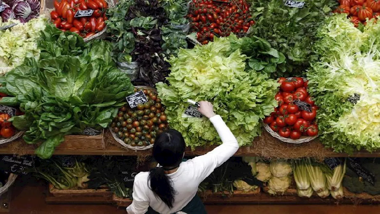 Eastern Cape rural communities encouraged to start food gardens - SABC News