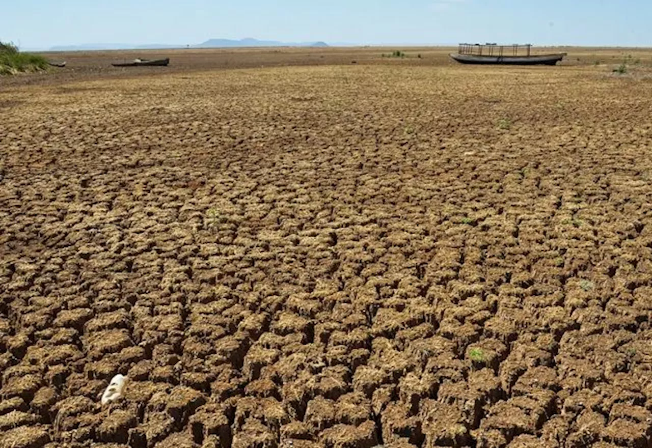 Governo federal reconhece situação de emergência por estiagem em municípios de seis estados