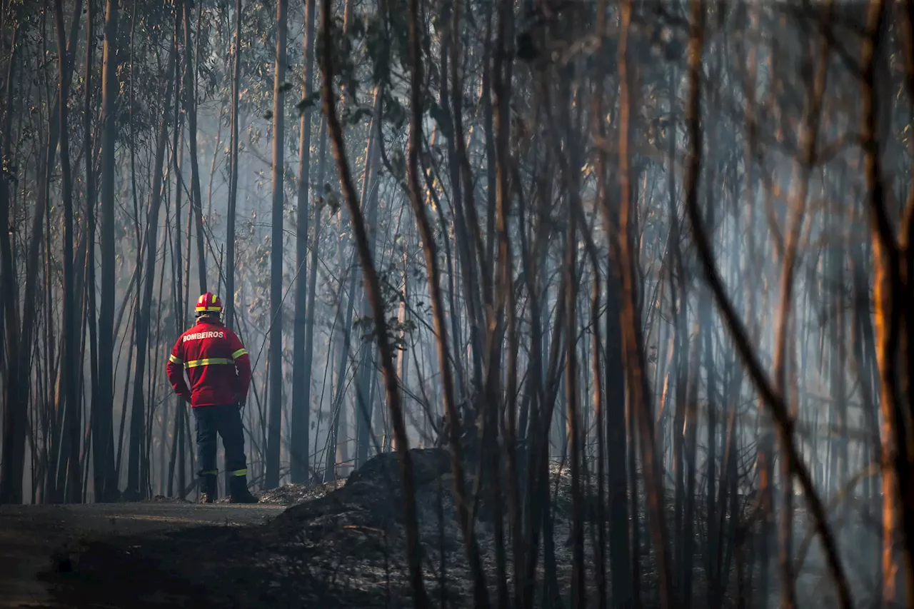 Incêndios que começaram na quarta-feira em Portugal estão extintos