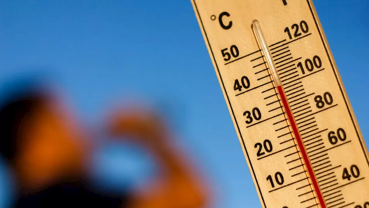 Temperaturas elevadas levam IPMA a colocar quatro distritos sob aviso laranja