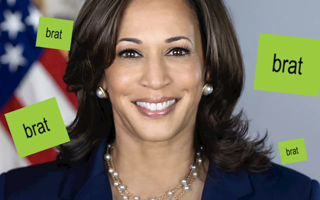 How Celebs Have Shown Their Support For Kamala Harris