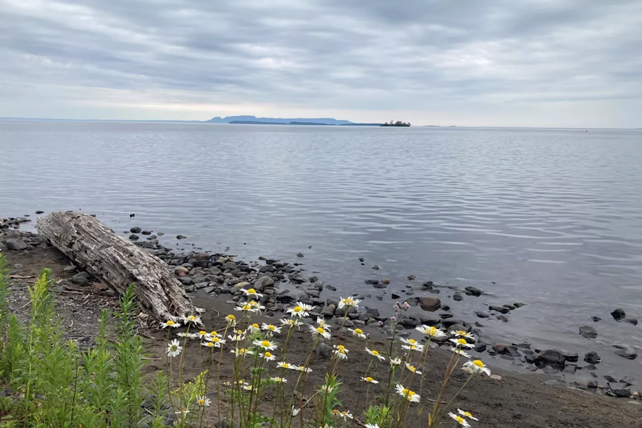 Good Morning, Thunder Bay!