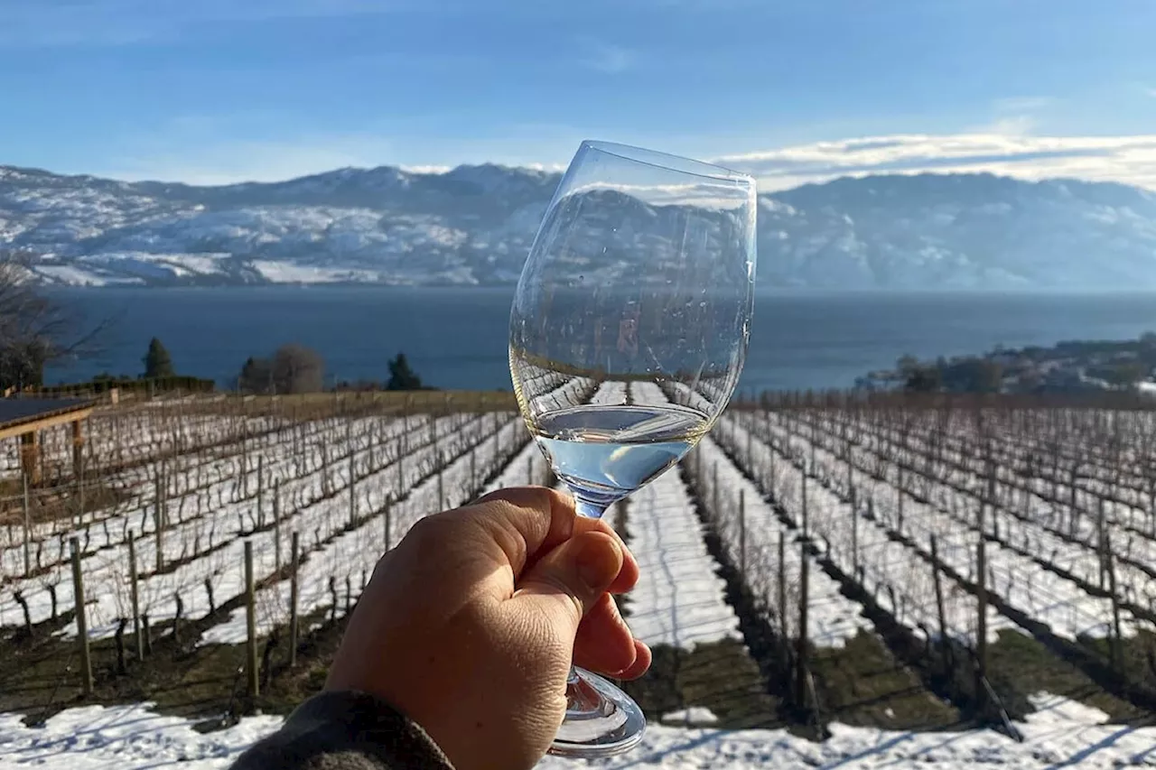 B.C. allows wineries to import grapes after 'unprecedented' winter