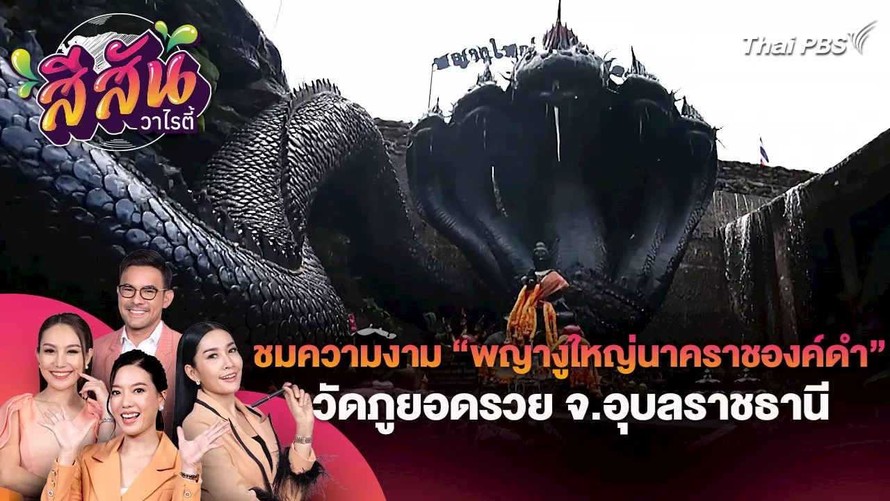 สีสันวาไรตี้ (25 ก.ค. 67) | Thai PBS รายการไทยพีบีเอส