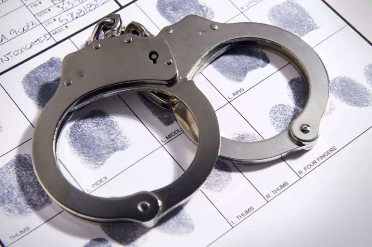 Bribe-takers: Police sergeant and constable arrested for releasing suspect in Limpopo