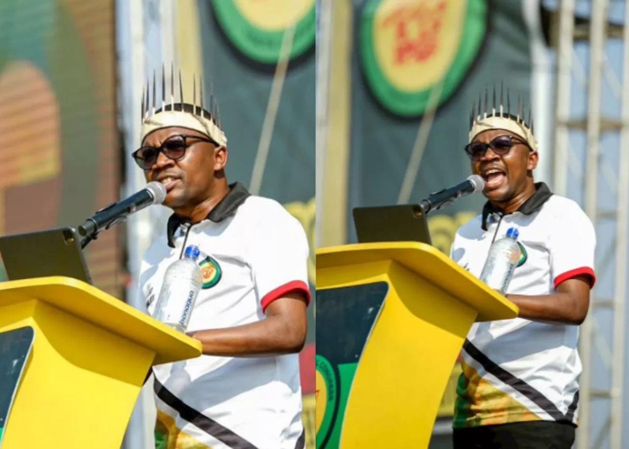 ‘No campaign, just cigars and slay queens’: Maile blamed for ANC losses in Gauteng