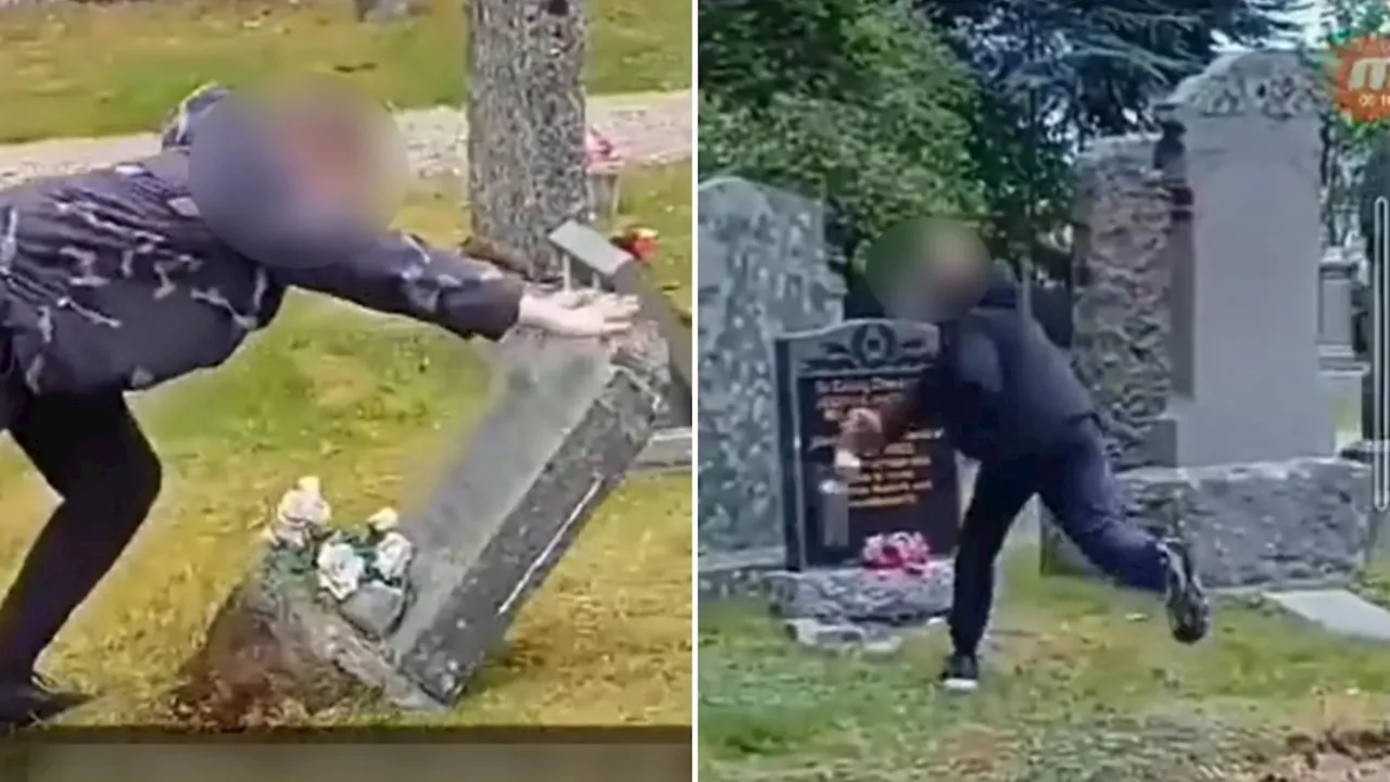 Shocking moment young thug rips up graves & smashes headstones at Scots cemetery as cops launch probe...