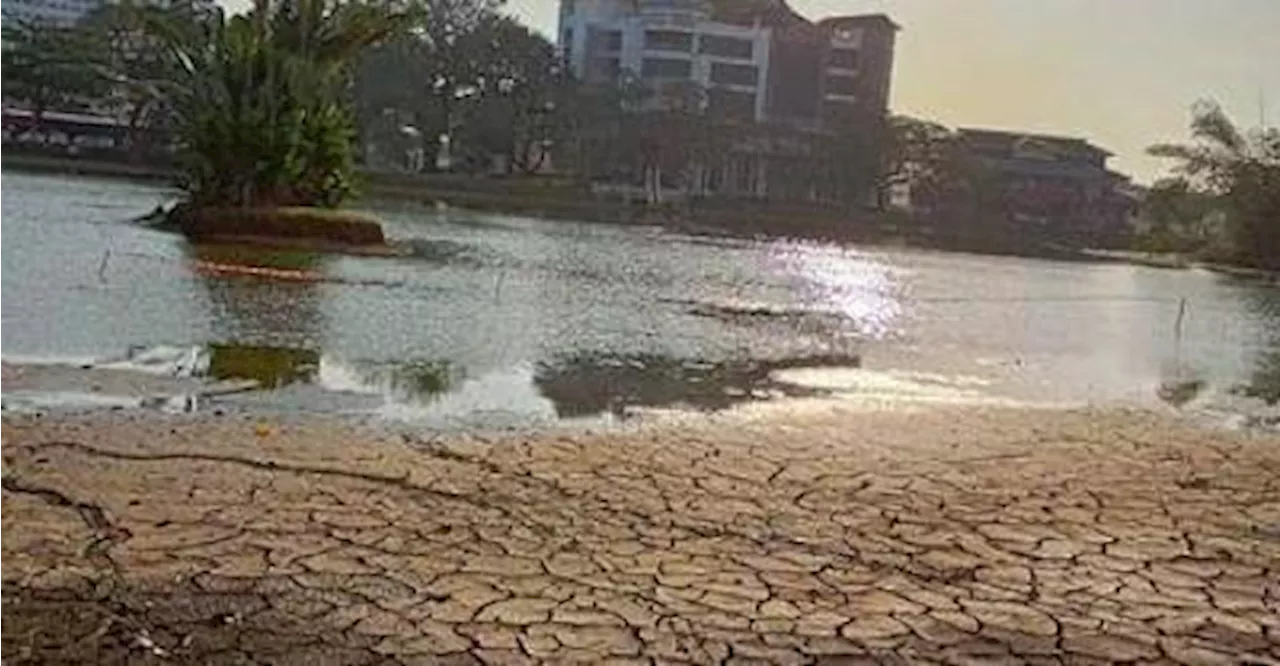 Severe weather causes parts of Taiping Lake Gardens to dry up