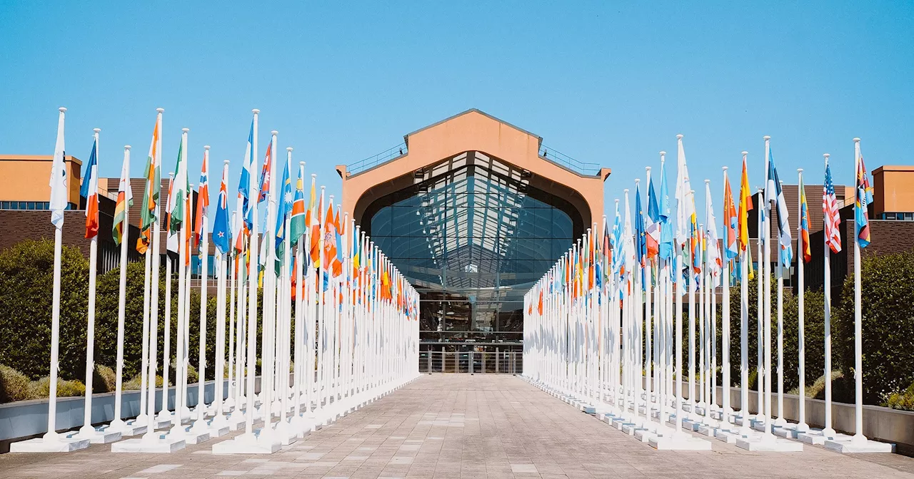 How Olympians Eat and Sleep: Inside Athletes' Village for Paris 2024