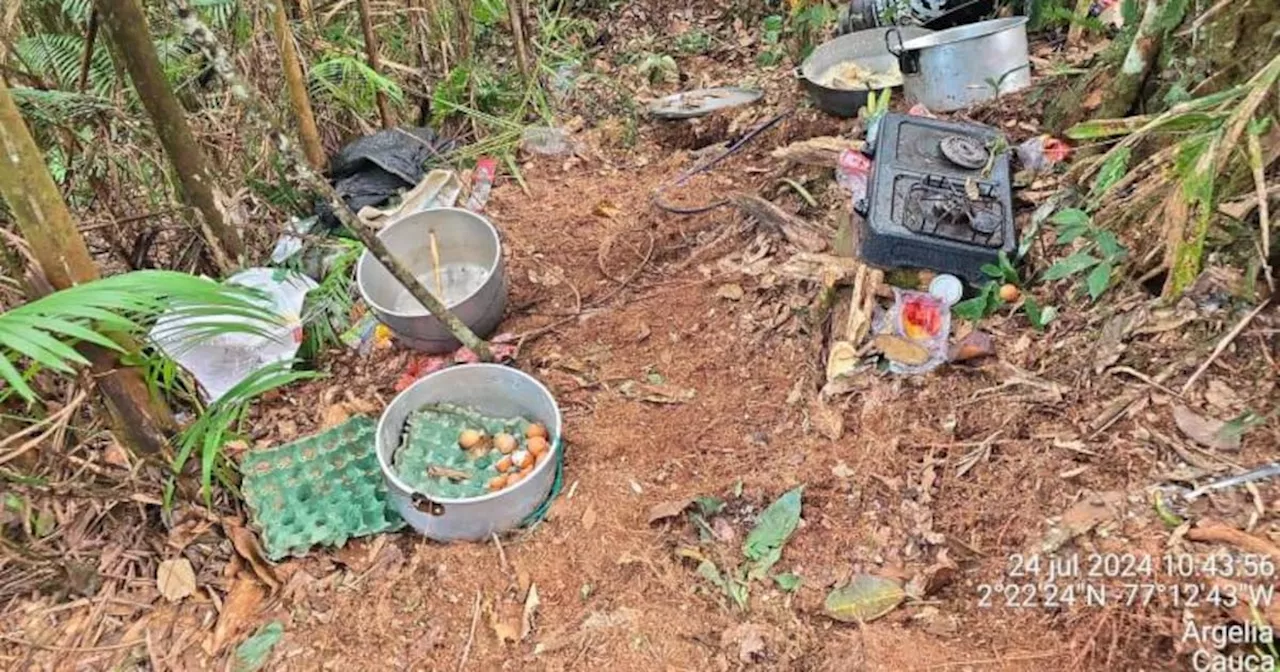 Ejército Nacional bombardeó por primera vez un campamento de disidentes de las Farc en Cauca