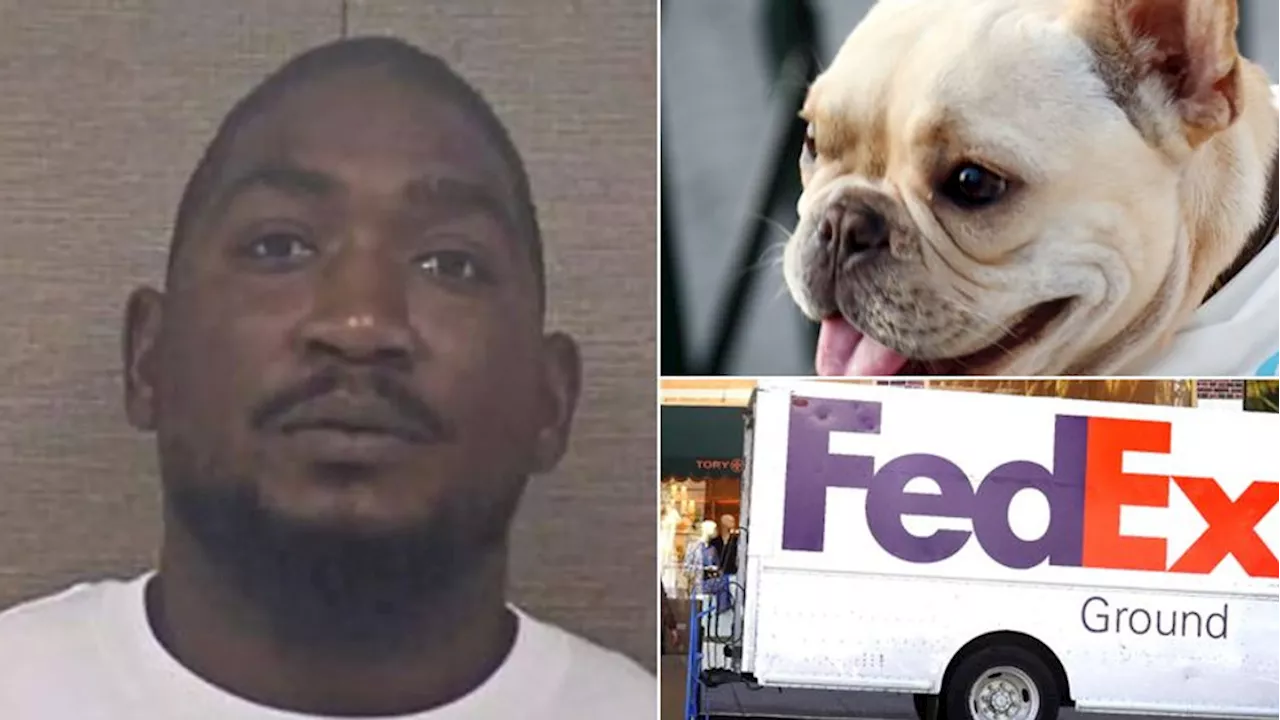 FedEx driver arrested after allegedly stealing French bulldog that later died in hot truck