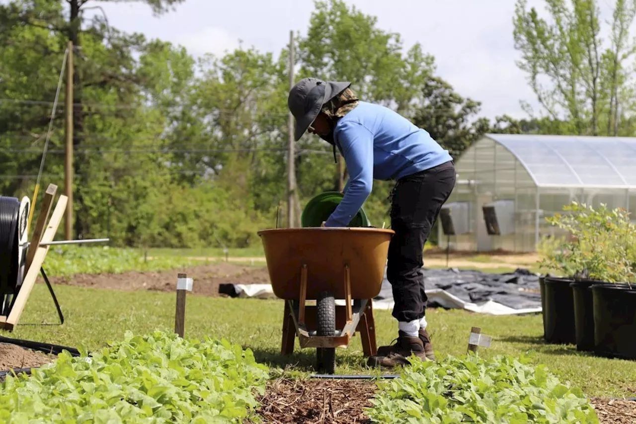 Major funders bet big on rural America and ‘everyday democracy’