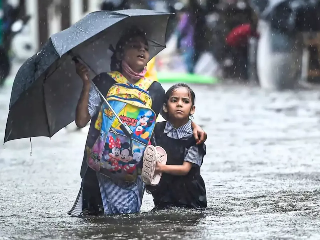 राज्यात पावसाचा कहर! ठाणे, पालघरसह 'या' जिल्ह्यातील शालेय विद्यार्थ्यांना सुट्टी जाहीर