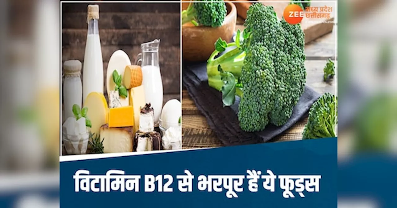 सावन में भी नहीं होगी विटामिन B12 की कमी, ये शाकाहारी फूड्स हैं आपके लिए परफेक्ट!