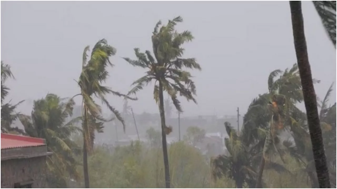 Kerala Rain Alert: സംസ്ഥാനത്ത് മഴ കനക്കും; 8 ജില്ലകളിൽ യെല്ലോ അലർട്ട്