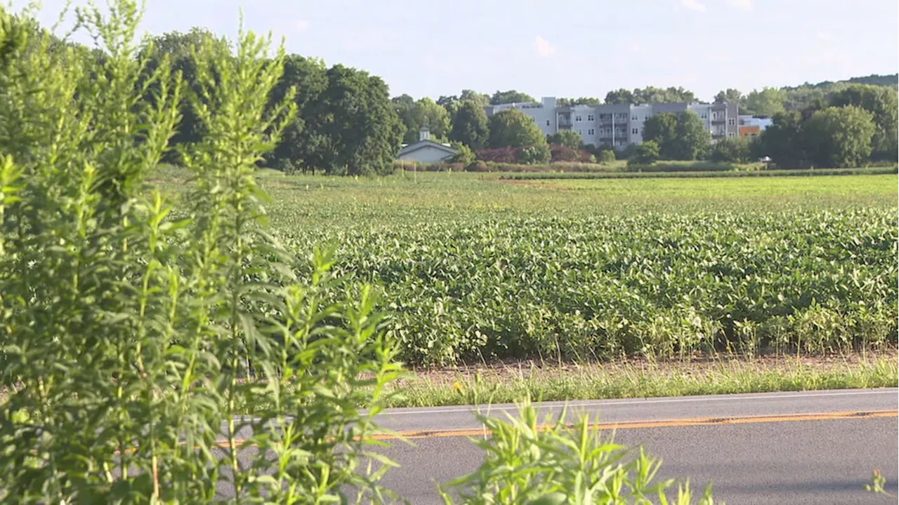 Penfield neighbors react to proposed Costco development