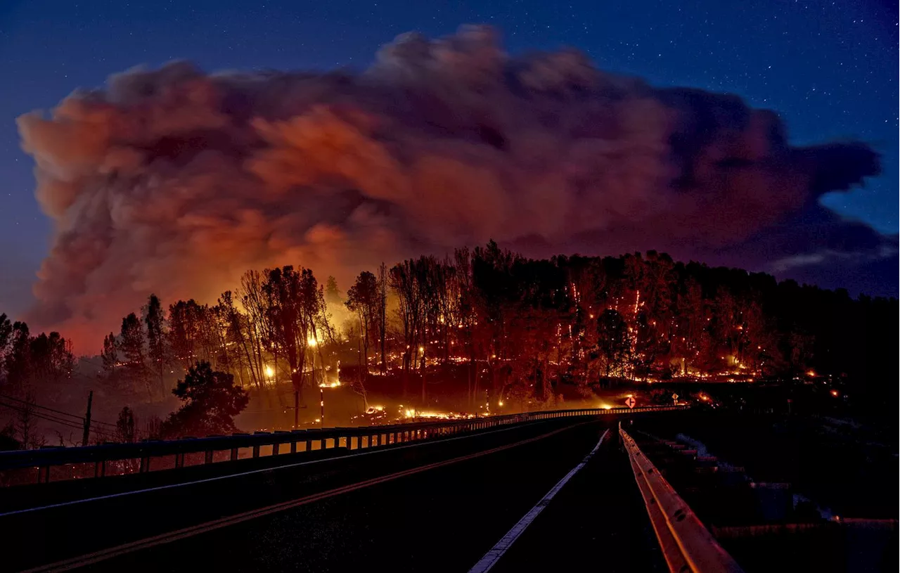 Etats-Unis : L’auteur du plus grand feu sauvage de la saison en Californie a été arrêté