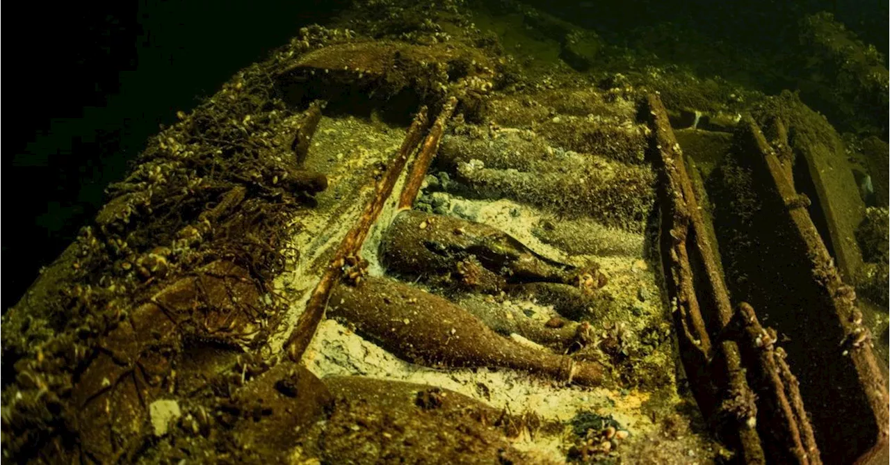 Divers find 100 bottles of 'royal' champagne on 19th-century shipwreck