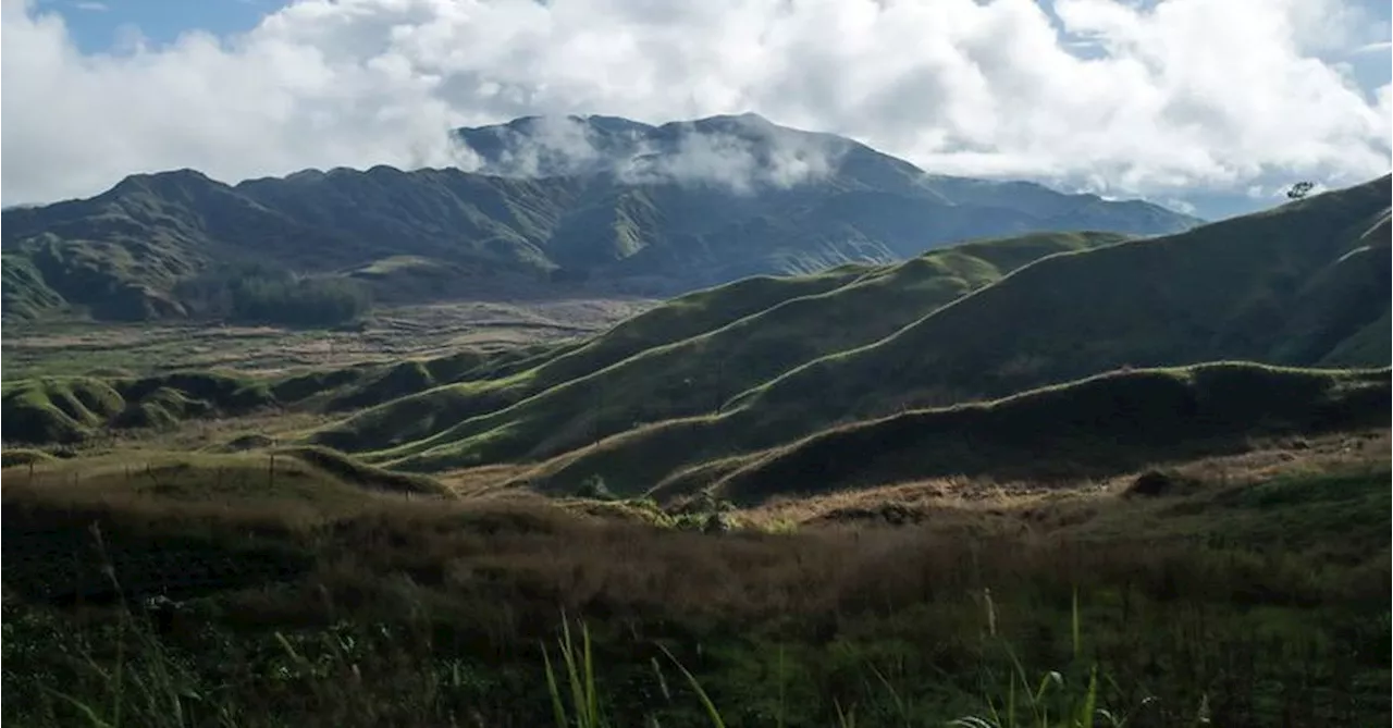 Women and children killed by gang in Papua New Guinea massacre