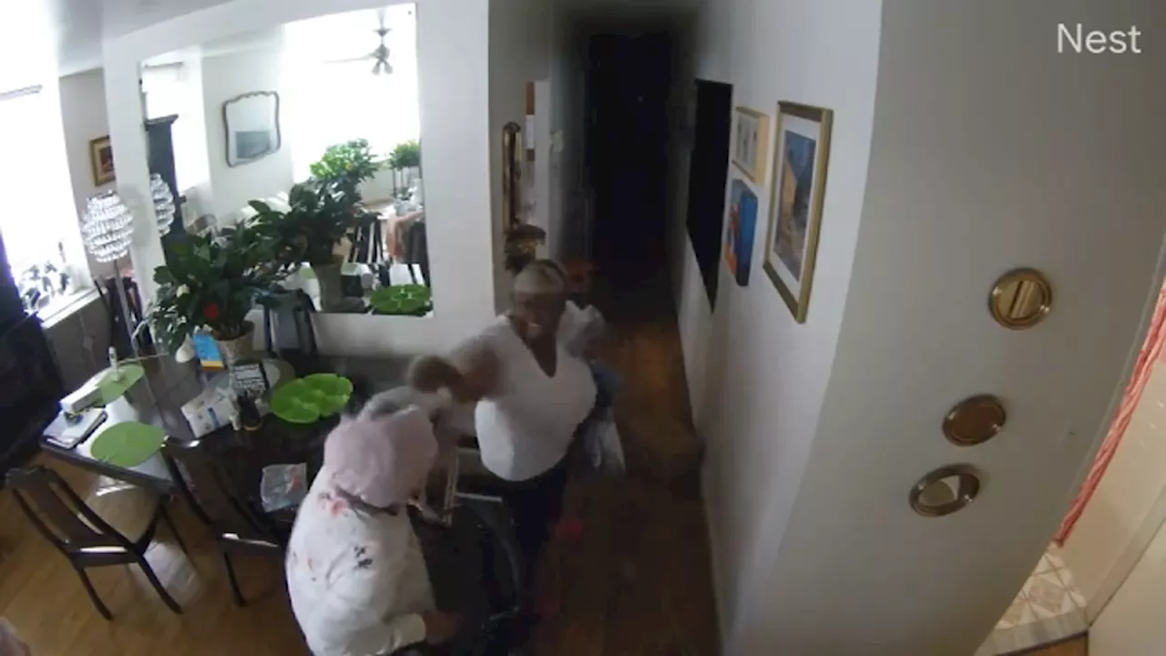  Disturbing video shows 95-year-old grandmother assaulted by home aid in Harlem