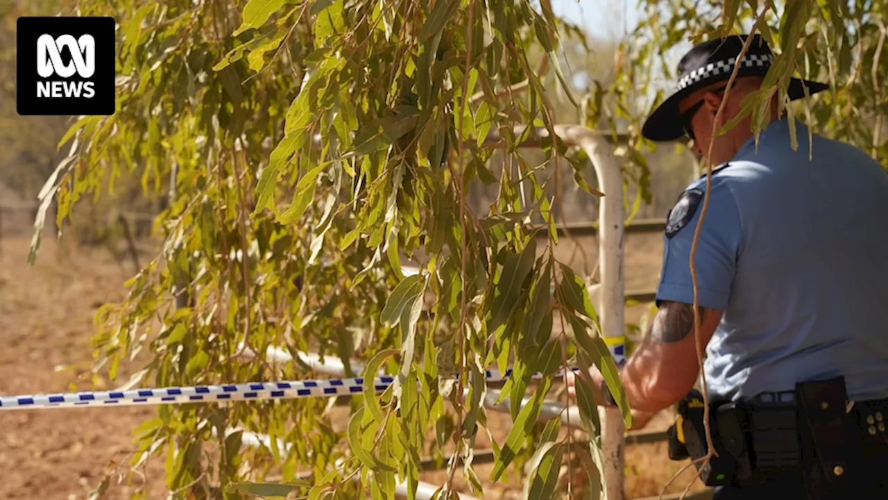 Investigators head to WA's remote north after Mount Anderson Station helicopter crash