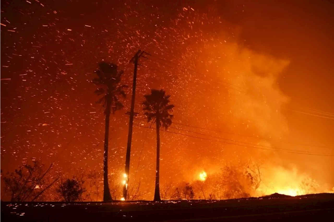 Feux en Californie : un immense incendie criminel entraîne l'évacuation de 3 500 personnes