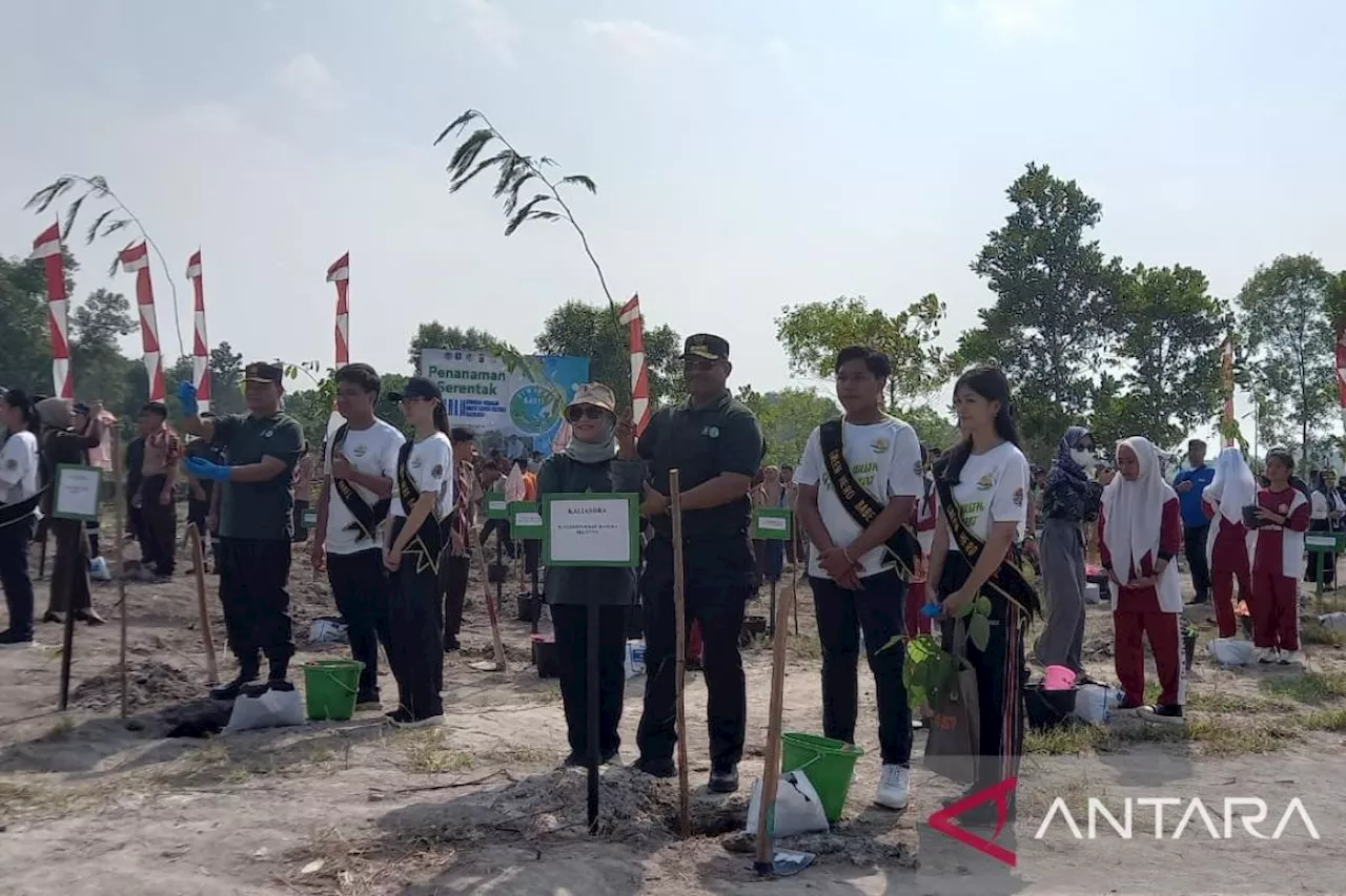 Babel targetkan tanam 2,5 juta pohon kurangi lahan kritis