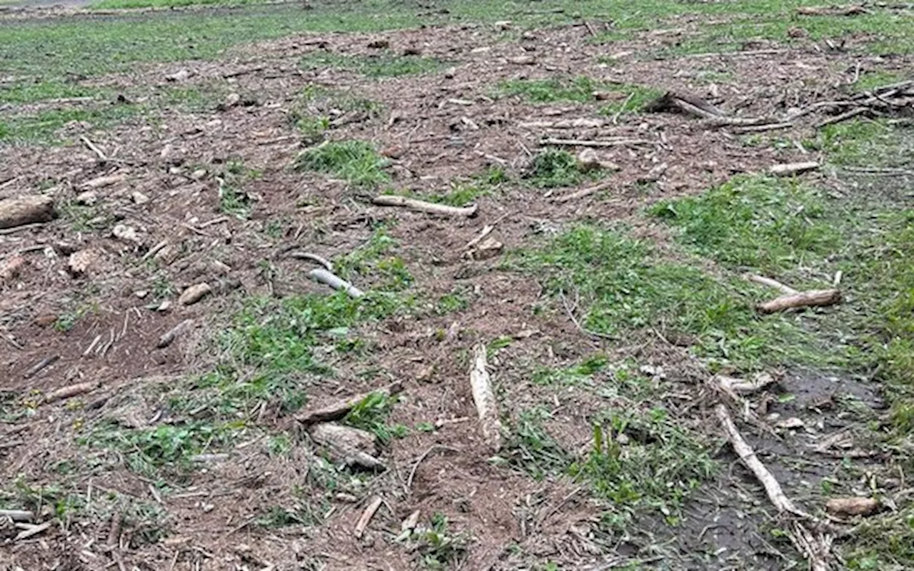 Grosse Solidarität mit den betroffenen Misoxer Bauern