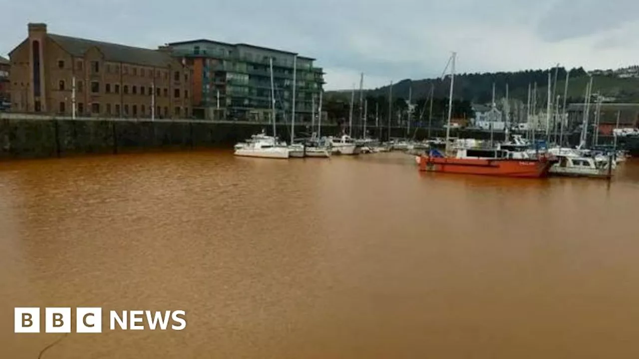 Hope and 'frustration' on Whitehaven Harbour's brown water