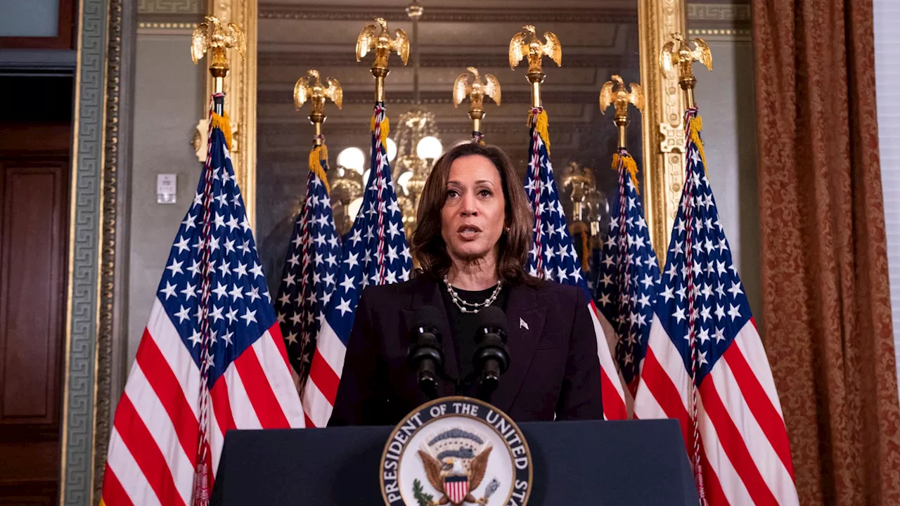 Gaza: Kamala Harris promet de ne pas 'rester silencieuse' après un entretien 'franc' avec Benjamin...