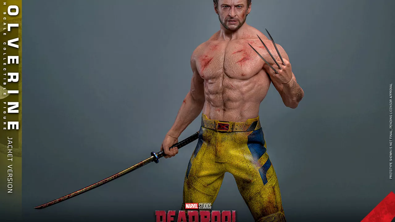 Hot Toys Debuts New 1/6 Shirtless Wolverine from Deadpool & Wolverine