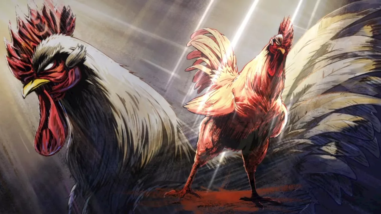 Rooster Fighter Trailer: Adult Swim, VIZ Adapting Shu Sakuratani Manga