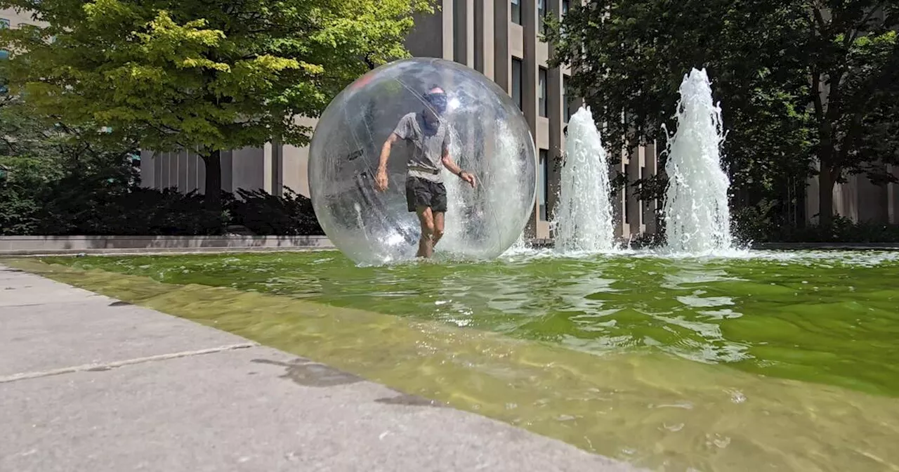 Man walks on water in giant bubble to protest the loss of a Toronto beach