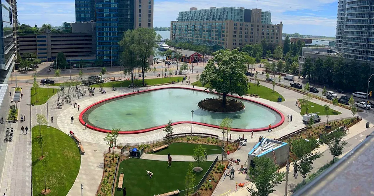 Toronto's Love Park pond just got drained because of someone's dumb stunt