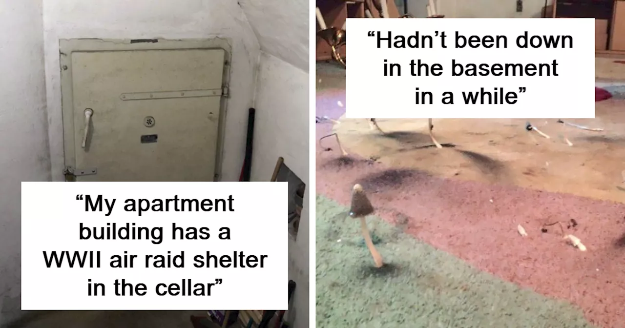 96 Creepy Basements That Were So Horrifying, Homeowners Just Had To Share