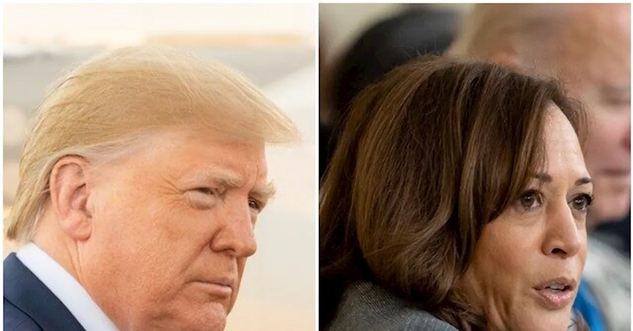 Poll: Donald Trump Edges out Kamala Harris in New Hampshire