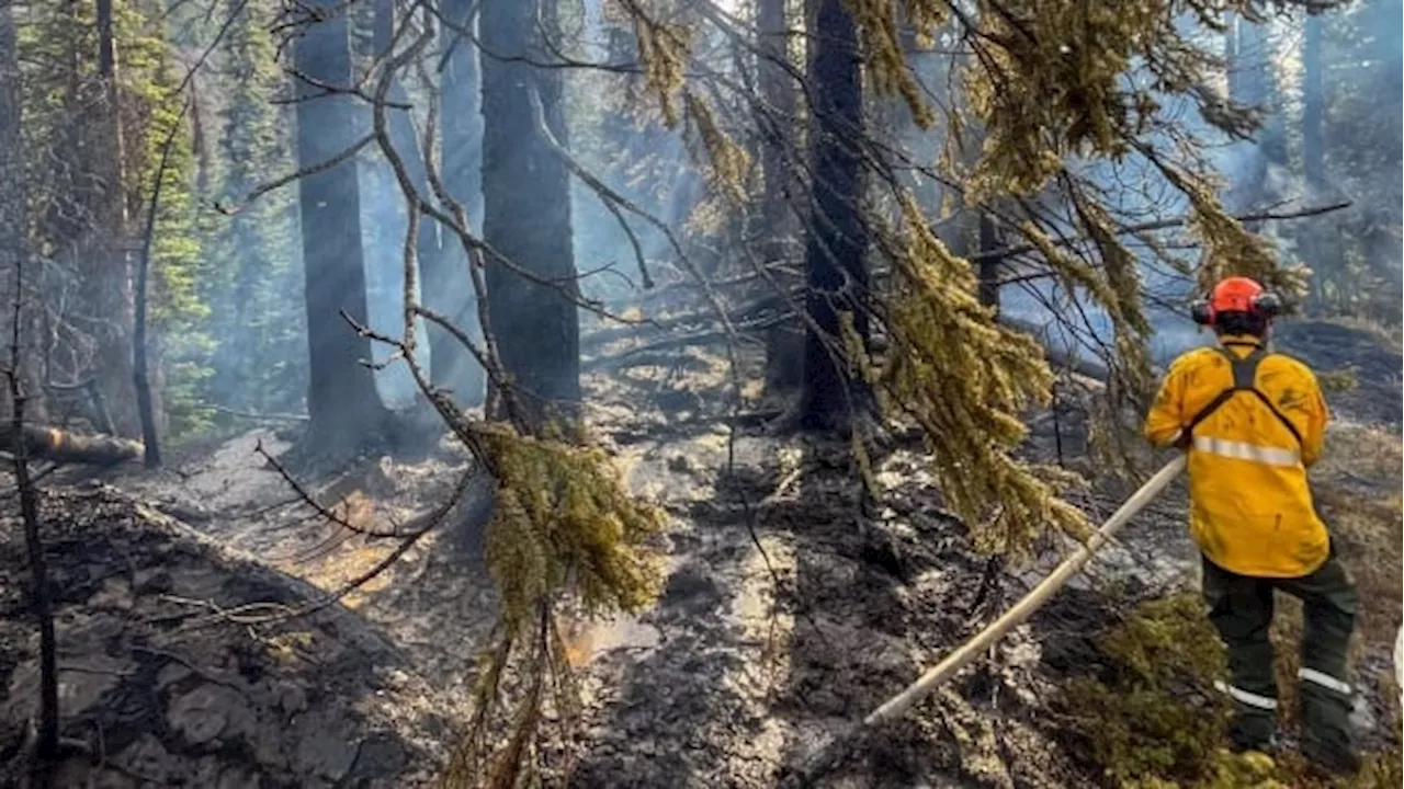 Blaze that damaged Jasper, Alta., townsite was too powerful to stop, fire experts say