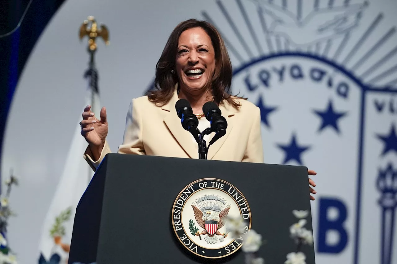 Democrats have momentum – but how long will Harris honeymoon last?