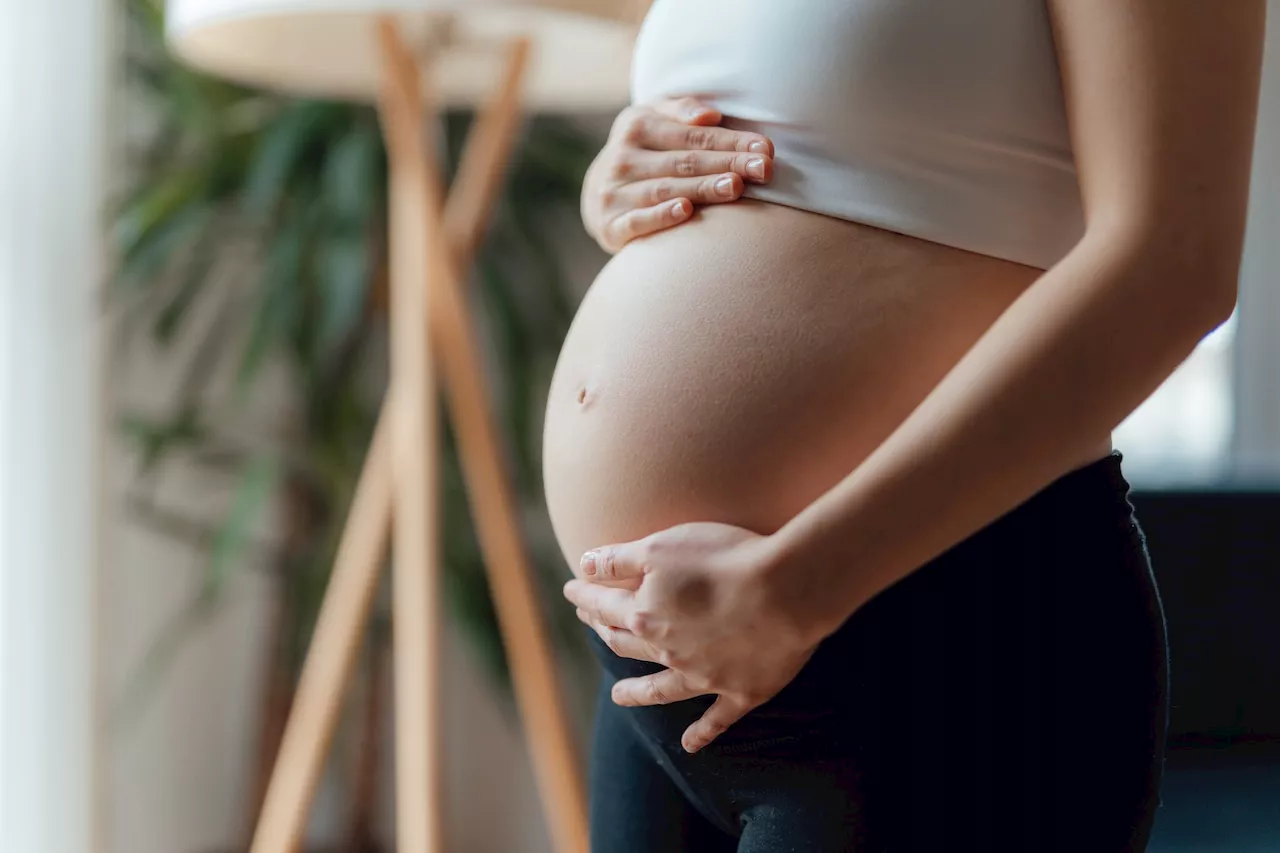 Zika virus infections during pregnancy can alter the baby’s immune system study finds