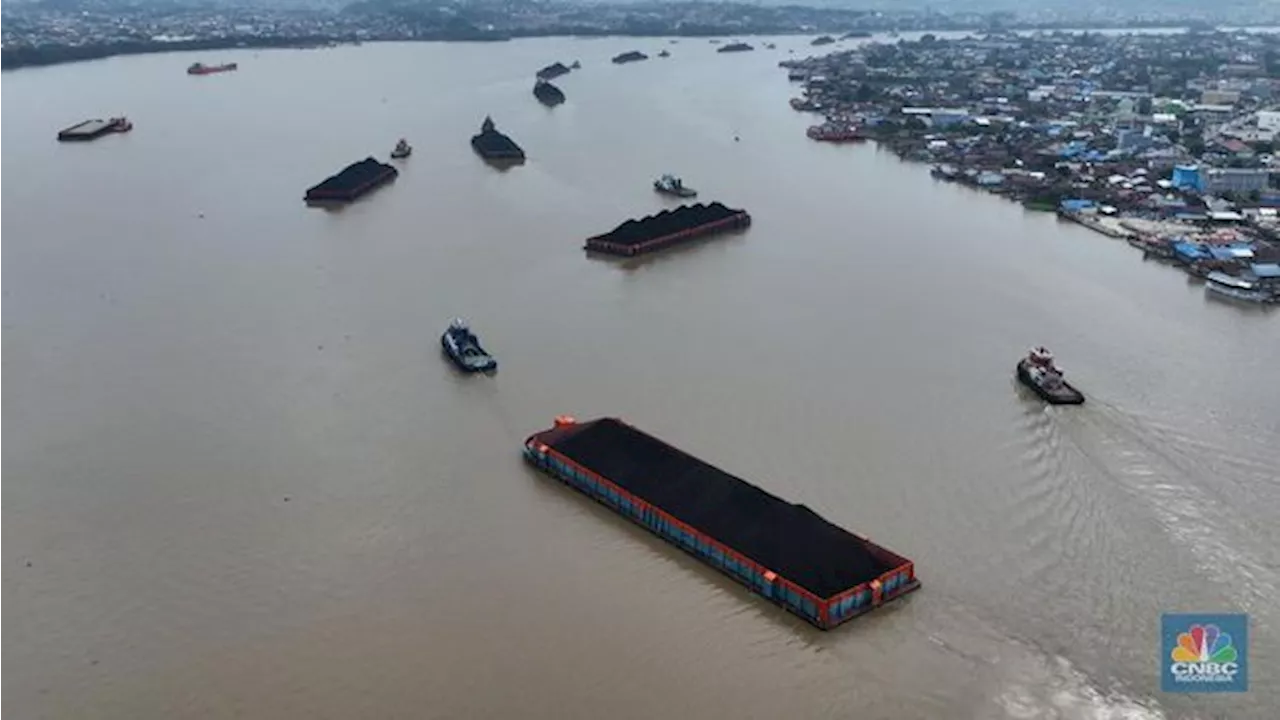 Potret 'Sesaknya' Jalur Utama Tongkang Batu Bara di Sungai Mahakam