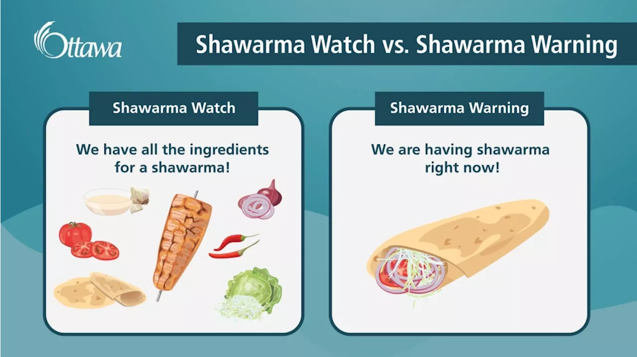 'Shawarma warning': Canada's shawarma capital using food to educate Ottawa residents on weather warnings