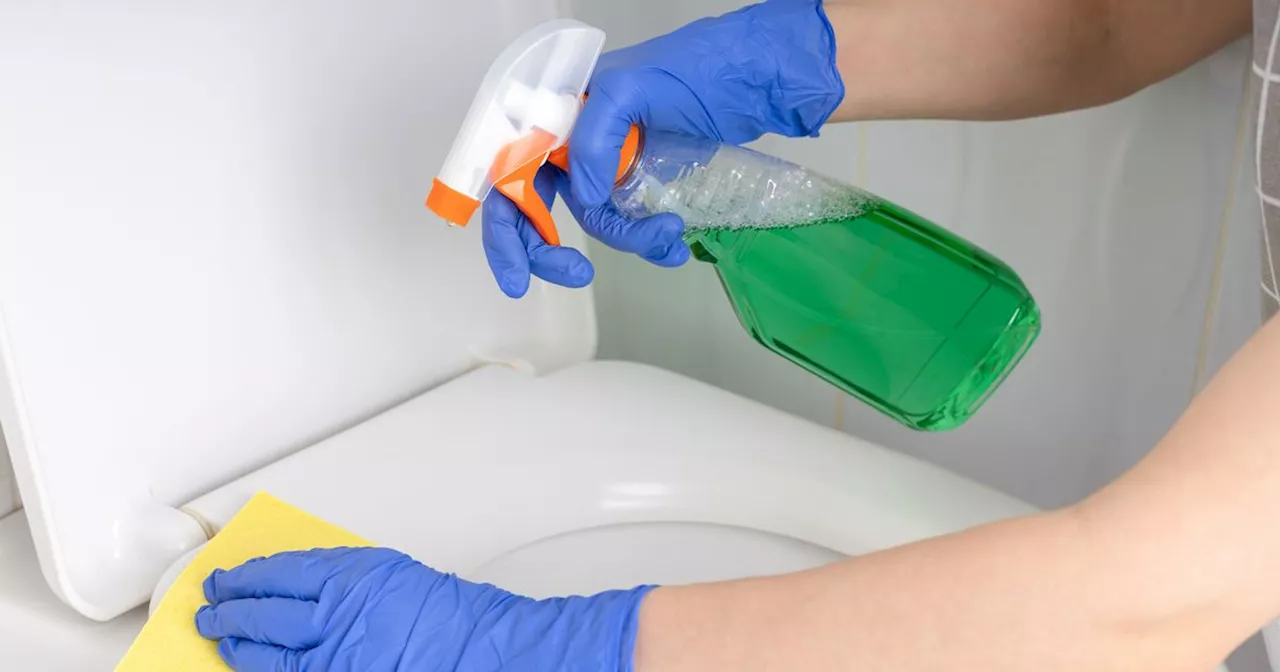 Remove toilet seat stains with cleaner's five-minute 49p homemade hack