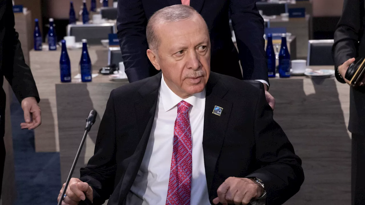 Congresso dos EUA coroou “Hitler da nossa era”, diz Erdogan