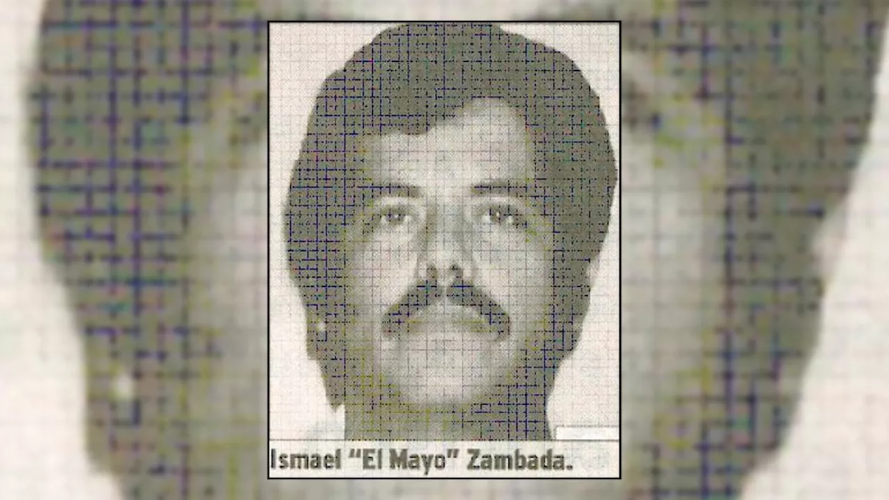 El Mayo Zambada, el hijo del monte que parecía intocable