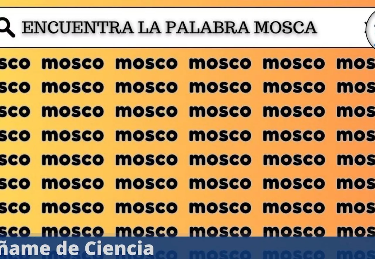 Acertijo que solo el 10 % logró resolver: ¿Serás el GENIO que encuentre “MOSCA” entre “MOSCO”?