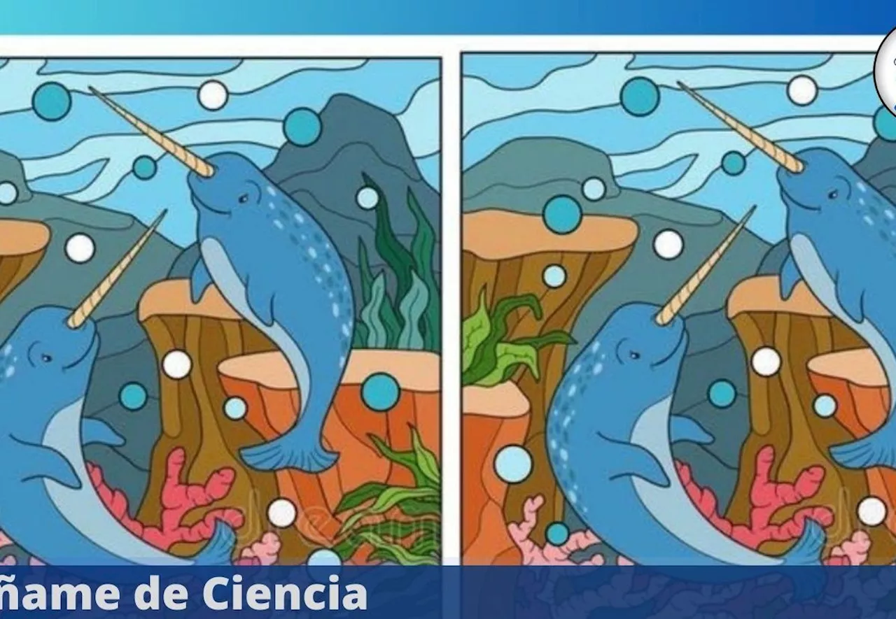 Acertijo visual EXTREMO: ¿Logras ver las 10 diferencias en la imagen de los Narvales?